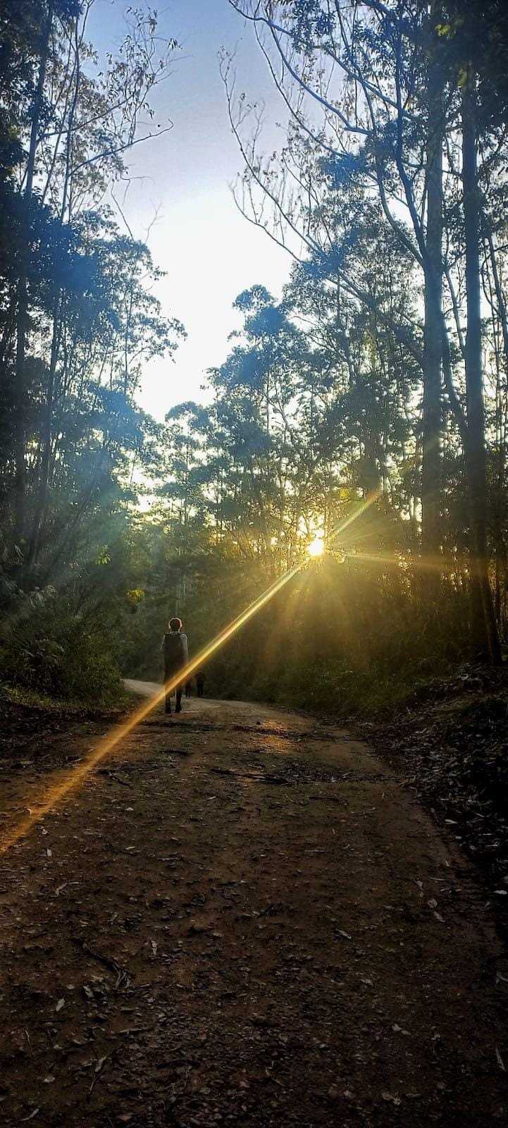 Caminho do Sal (Paranapiacaba x Mogi das Cruzes)