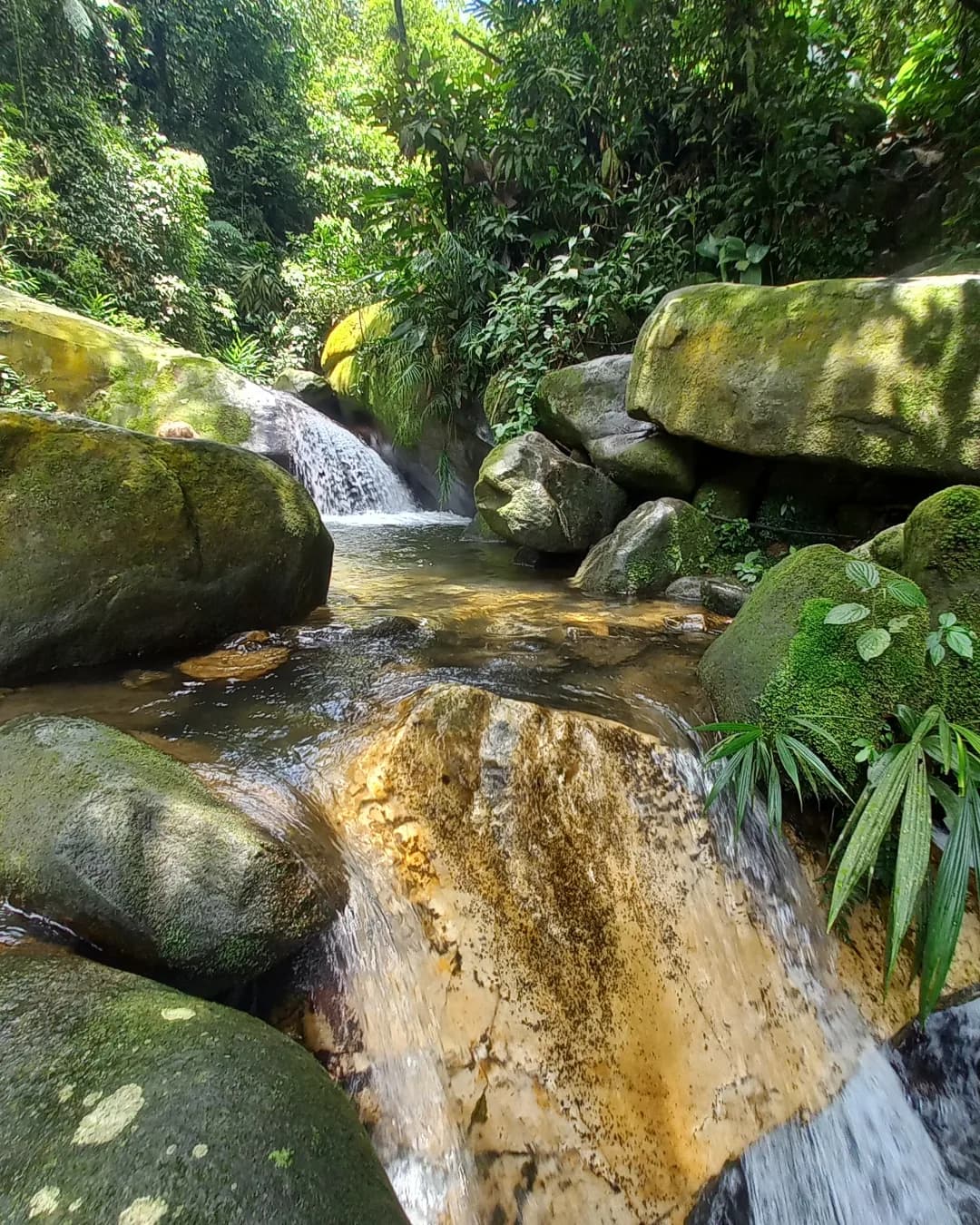 Imagem da praia de Natal vista do alto de uma Duna