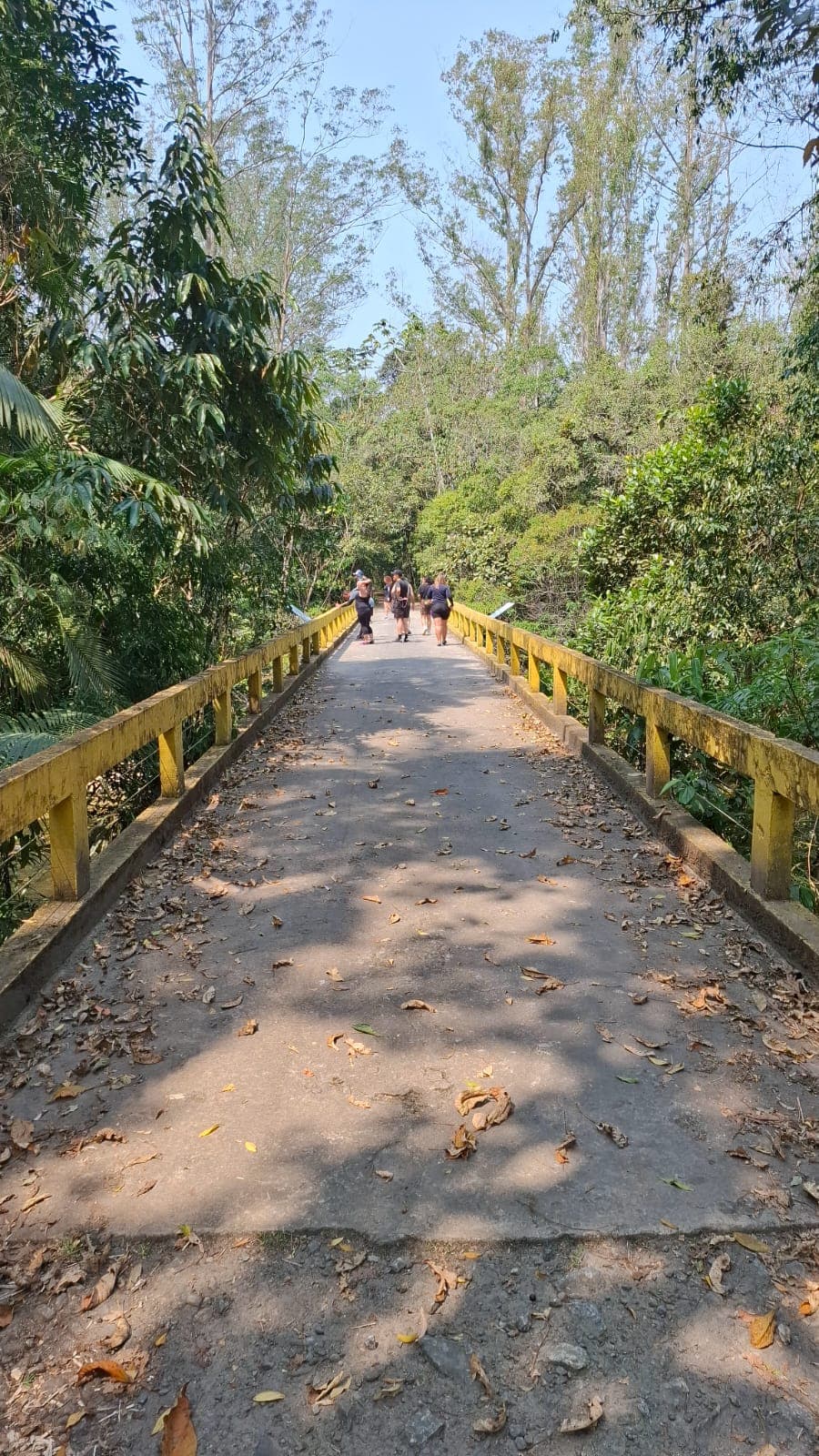 Parque das Neblinas, Mogi das Cruzes - Sp