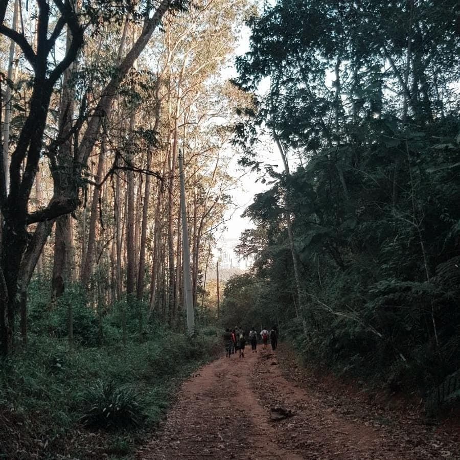 Imagem da praia de Natal vista do alto de uma Duna